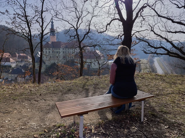 A woman sits on a bench and looks out over a town with a large building and a church tower in the background, surrounded by bare trees.