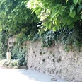 IMG_9706.JPG Steinmauer in üppiges Grün gehüllt, von dichten Blättern beschattet, entlang eines sonnigen Weges.