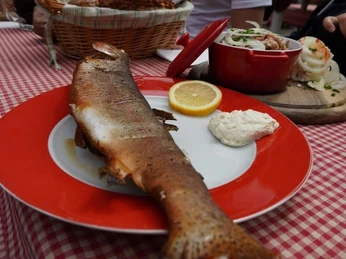 unsere Spezialitäten geräuchte Forelle