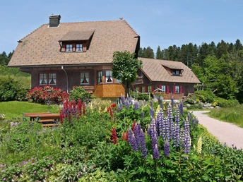 Landhaus-Anja Ferienhäuser Kienberg und Hohenried