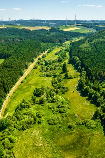 Der Eifel-Ardennen-Radweg führt mitten durch die grüne Landschaft der Eifelhle, Habscheid-©Eifel Tourismus GmbH, Dominik Ketz