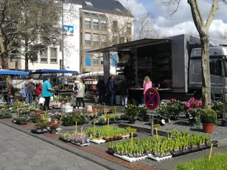 Markt in Bitburg