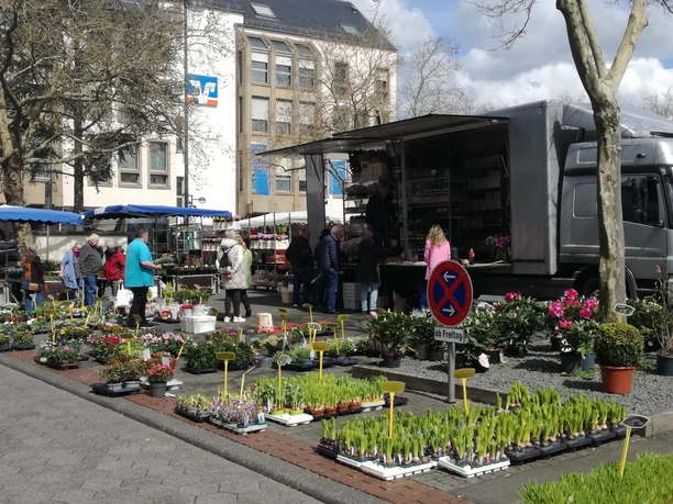 Markt in Bitburg
