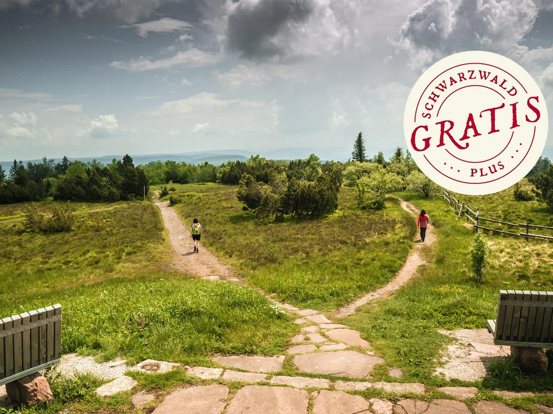 Wilde Landschaft am Schliffkopf