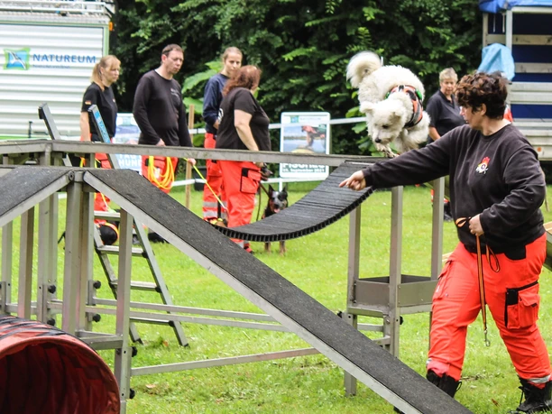 tag-des-hundes-natureum-niederelbe.jpg