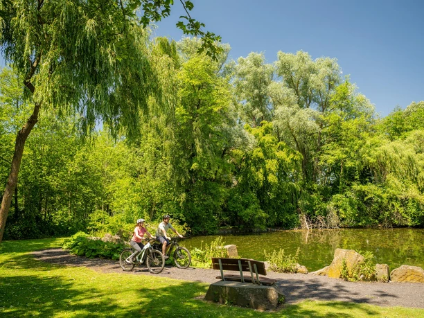 Teich im Nettepark Teich im Nettepark