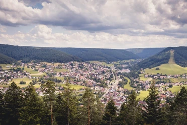 Ortsansicht Baiersbronn im Sommer