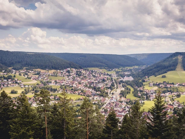 Ortsansicht Baiersbronn im Sommer