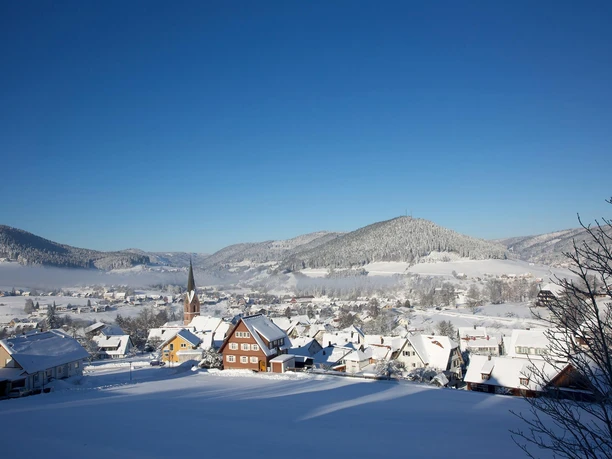 Ortsansicht Baiersbronn im Winter
