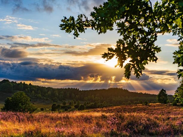Suhorn im August, Landschaft im Sonnenuntergang