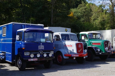 Transport- und Oldtimerfest Historische Lkw in verschiedenen Farben auf einem Parkplatz, umgeben von grüner Natur.
