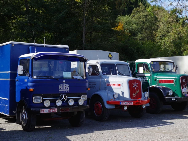 Transport- und Oldtimerfest Historische Lkw in verschiedenen Farben auf einem Parkplatz, umgeben von grüner Natur.