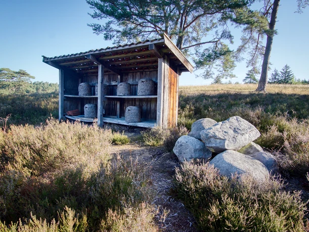 bienenzaun-kronsberg-heide-amelinghausen Hölzerner Bienenzaun mit Bienenkörben in der Heidelandschaft am Kronsberg bei Amelinghausen.