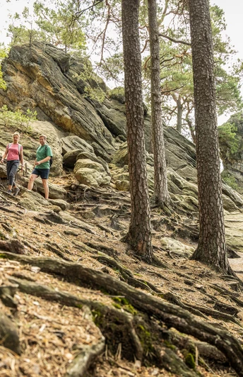 Ibbenbüren-Dörenther Klippen-Tecklenburger Land, D. Ketz-2023-069.jpg Zwei Wanderer erkunden einen felsigen Pfad, umgeben von Bäumen und den beeindruckenden Dörenther Klippen.