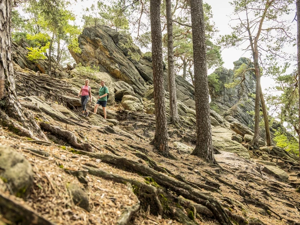 Ibbenbüren-Dörenther Klippen-Tecklenburger Land, D. Ketz-2023-069.jpg Zwei Wanderer erkunden einen felsigen Pfad, umgeben von Bäumen und den beeindruckenden Dörenther Klippen.