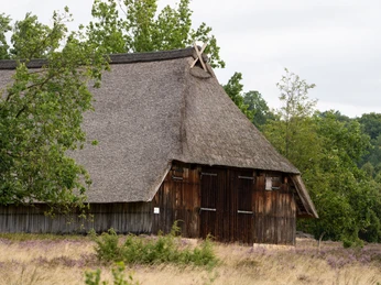 Schafstall im Steingrund