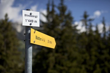 Bindbärgji