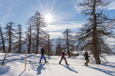 Schneeschuhtrail Rothwald