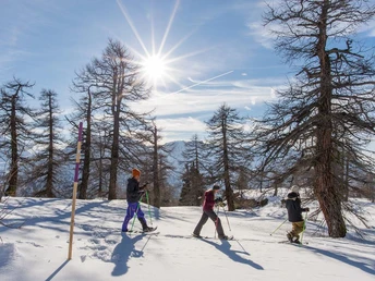 Schneeschuhtrail Rothwald