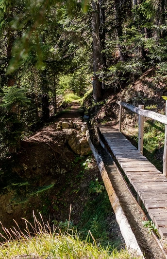 Suone Bärgeri - Suone des Jahre 2020