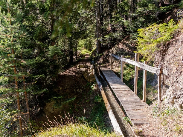 Suone Bärgeri - Suone des Jahre 2020