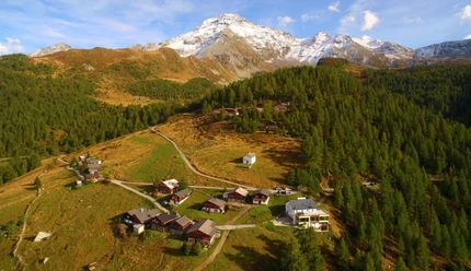 Wasenalp