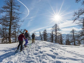 Schneeschuwandern Rothwald