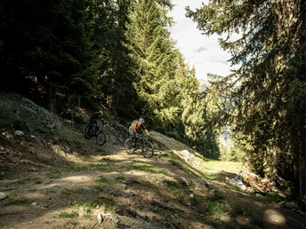 1. Etappe: Fiescheralp - Stirnig - Fiesch