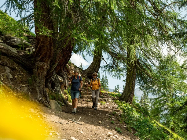 Gemütliche Wanderetappen