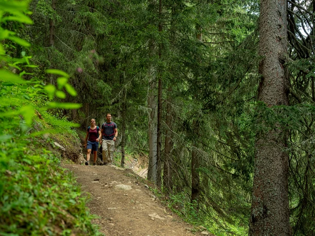 Wanderung im Bergwald
