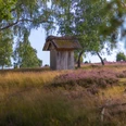 Doehler Heide Egestorf Die Döhler Heide ist eine ruhige Heidefläche abseits des Trubels