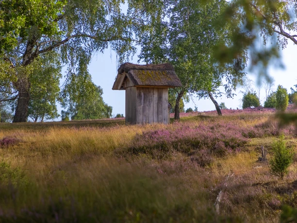 Doehler Heide Egestorf Die Döhler Heide ist eine ruhige Heidefläche abseits des Trubels