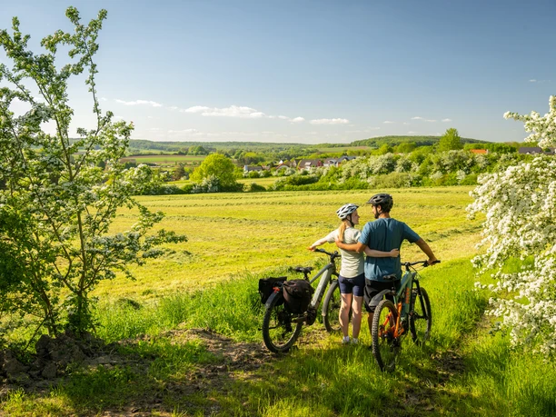 Ausblick in die südliche Eifel mit Streuobstwiesen, Nims-Radweg