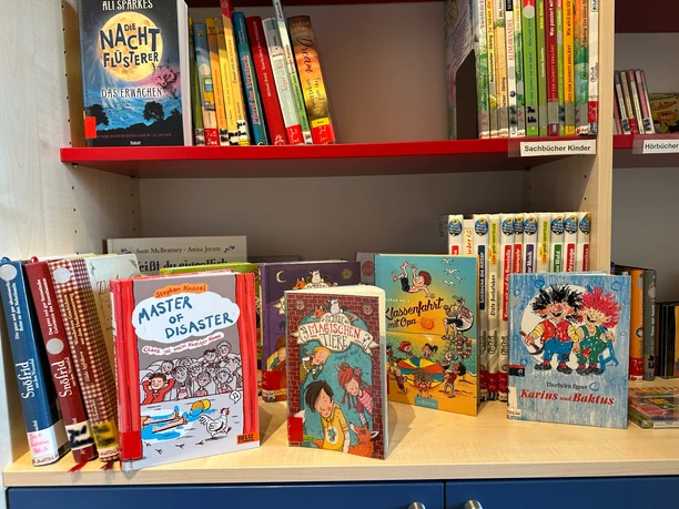 Bunte Kinderbücher stehen frontal und aufgereiht in einem hellen Holzregal.