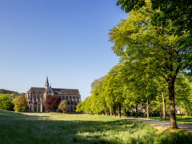 Altenberger Dom Das Bild zeigt eine weite Wiese mit Bäumen und eine graue Kirche unter klarem, blauem Himmel.