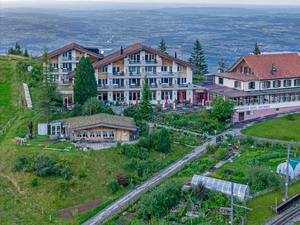 Edelweiss-Bistro by Regina Montium Rigi