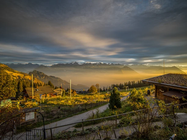 Edelweiss-Bistro by Regina Montium Rigi