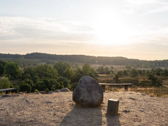 230711_Turmberg_CCBYSA_Bispingentouristik_DM-05.jpg Turmberg mit Stein