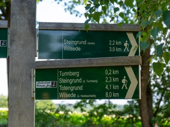 230711_Turmberg_CCBYSA_Bispingentouristik_DM-08.jpg Wegweiser