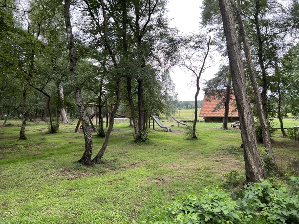 Moorkieker Im Vordergrund stehen hohe Bäume, dahinter ein Holzspielplatz und ein rotes Gebäude in der Ferne.