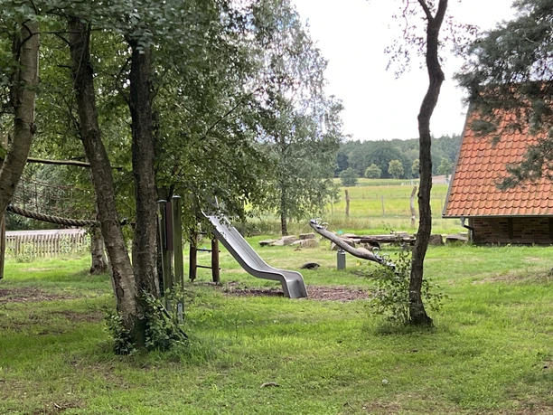 Moorkieker Kinderrutsche und Schaukel aus Holz auf einer grünen Wiese, umgeben von Bäumen und rustikalen Gebäuden.