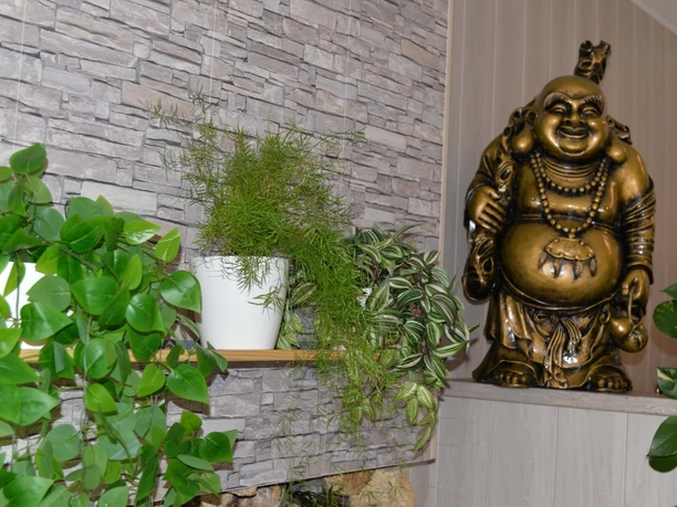 Grüner Wartebereich mit goldener Buddha-Statue, umgeben von Pflanzen in weißen Töpfen.