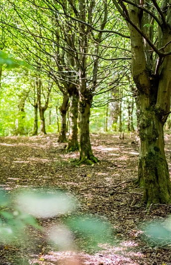 220823 MER Premiumwanderweg26 kleiner