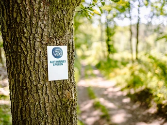 230531 MER Premiumwanderweg Beschilderung56 kleiner