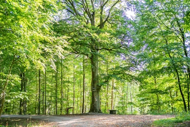220823 MER Premiumwanderweg12 kleiner
