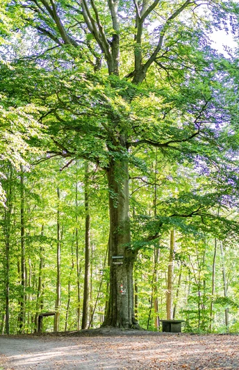 220823 MER Premiumwanderweg12 kleiner