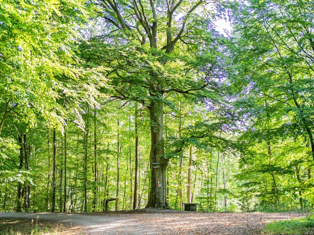 220823 MER Premiumwanderweg12 kleiner
