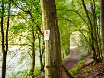230531 MER Premiumwanderweg Beschilderung5 kleiner