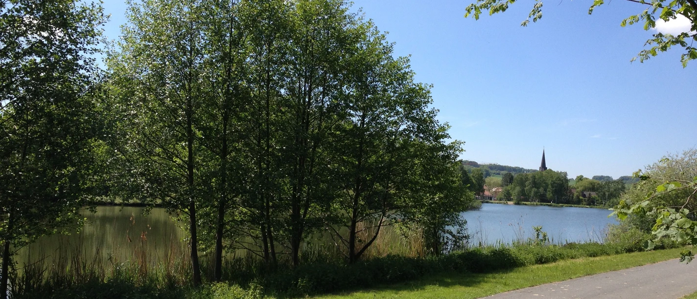 Ein malerischer See mit grünem Ufer, Bäumen und einem blauen Himmel im Hintergrund.
