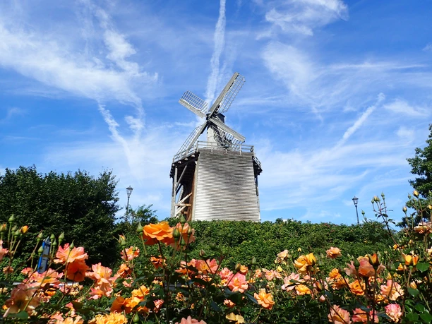 Das neue Gradierwerk in Bad Rothenfelde